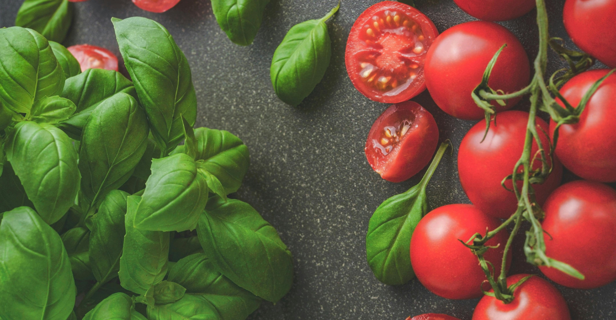 Tomato and Basil